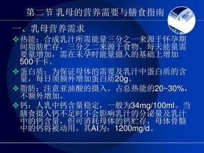 餐飲管理的核心基石 烹飪與膳食管理基礎(chǔ)